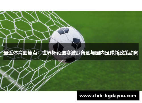 最近体育圈焦点：世界杯预选赛激烈角逐与国内足球新政策动向