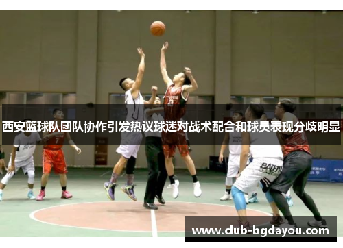 西安篮球队团队协作引发热议球迷对战术配合和球员表现分歧明显