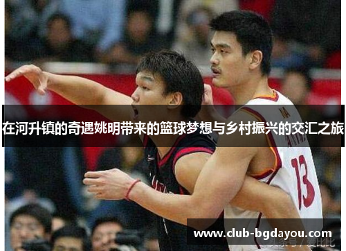 在河升镇的奇遇姚明带来的篮球梦想与乡村振兴的交汇之旅