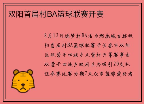 双阳首届村BA篮球联赛开赛